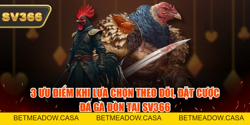 Gà Đòn Tại SV366 - Ưu Điểm Và Kinh Nghiệm Chọn Chiến Kê