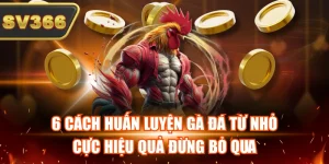 Kiến Thức Đá Gà Tại SV366 – Cẩm Nang Phân Tích Đá Gà Hiệu Quả