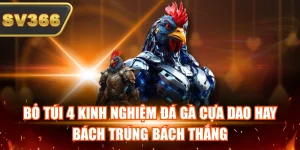 Kiến Thức Đá Gà Tại SV366 – Cẩm Nang Phân Tích Đá Gà Hiệu Quả