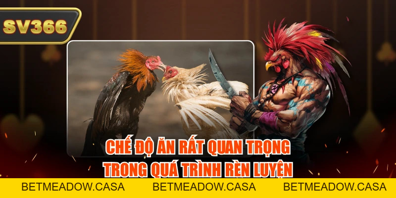 6 Cách Huấn Luyện Gà Đá Từ Nhỏ Cực Hiệu Quả Đừng Bỏ Qua