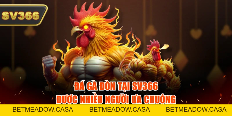 Gà Đòn Tại SV366 - Ưu Điểm Và Kinh Nghiệm Chọn Chiến Kê