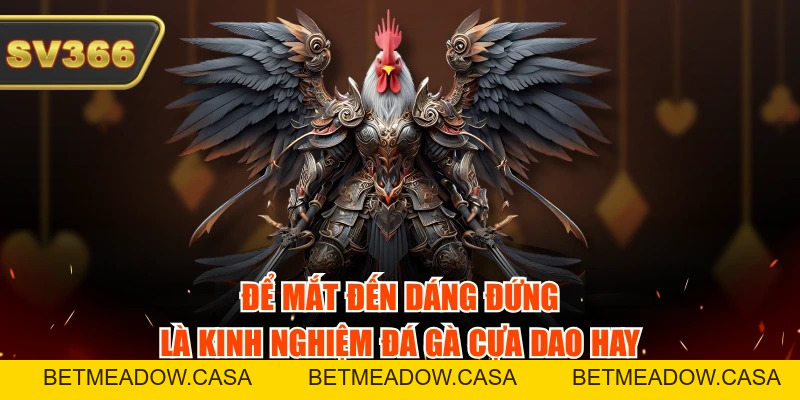 Bỏ Túi 4 Kinh Nghiệm Đá Gà Cựa Dao Hay Bách Trúng Bách Thắng