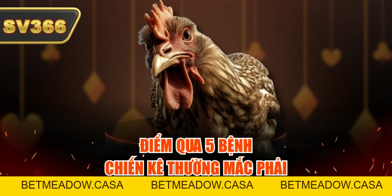 Cách Phòng Bệnh Cho Gà Đá Theo 4 Mùa Chính Xác, Khoa Học