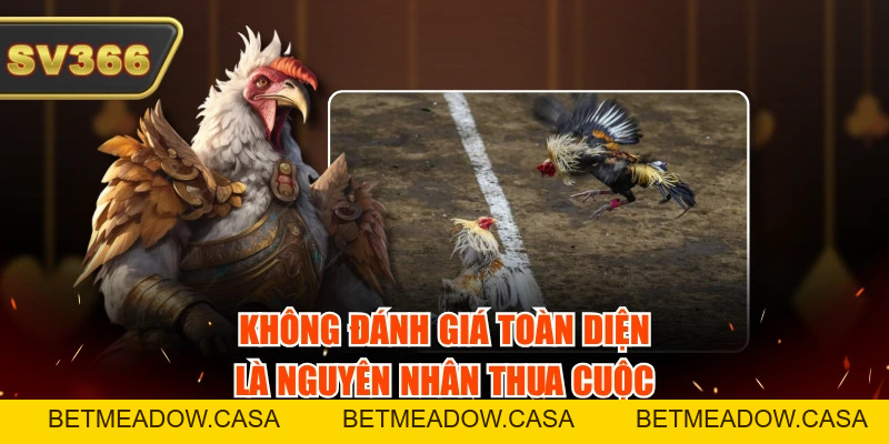 Bỏ Túi 4 Kinh Nghiệm Đá Gà Cựa Dao Hay Bách Trúng Bách Thắng