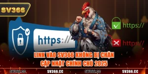 Tin Tức Đá Gà SV366 – Theo Dõi Kèo Hot Và Giải Đấu Mỗi Ngày