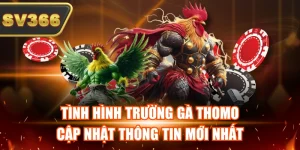 Tin Tức Đá Gà SV366 – Theo Dõi Kèo Hot Và Giải Đấu Mỗi Ngày