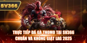 Tin Tức Đá Gà SV366 – Theo Dõi Kèo Hot Và Giải Đấu Mỗi Ngày